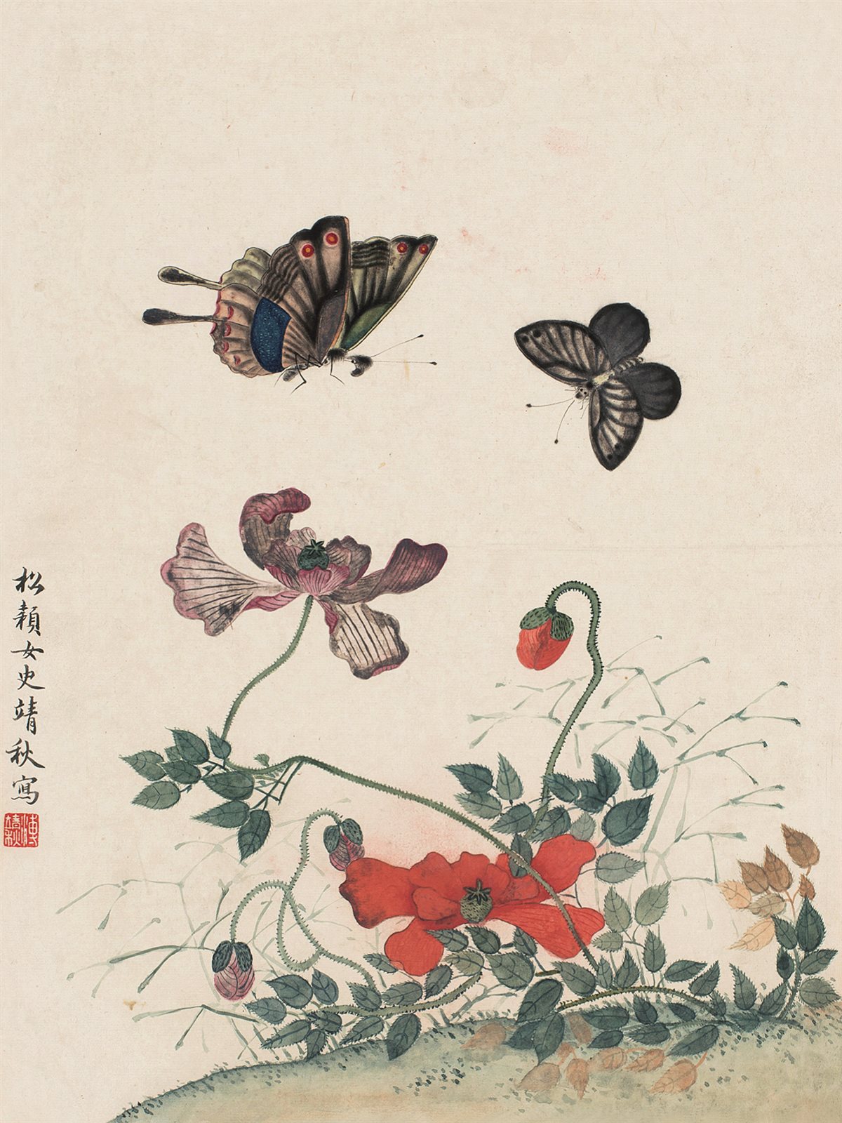 蝶恋花