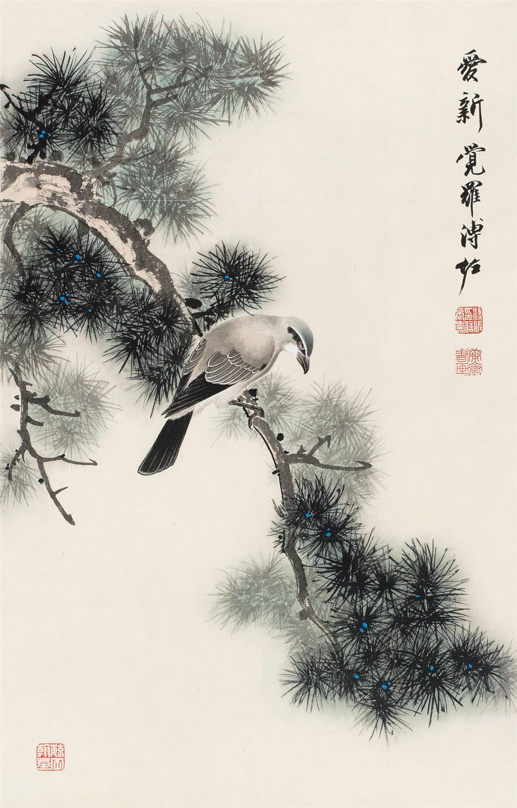 松枝鸣禽
