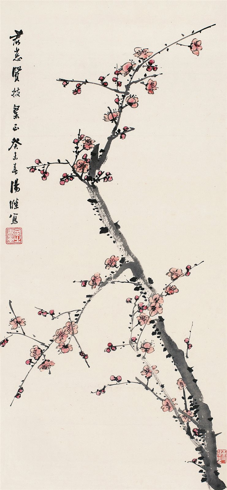 红梅