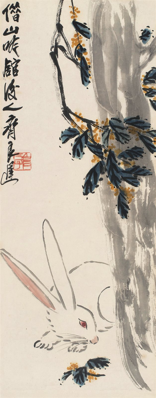 枇杷小兔