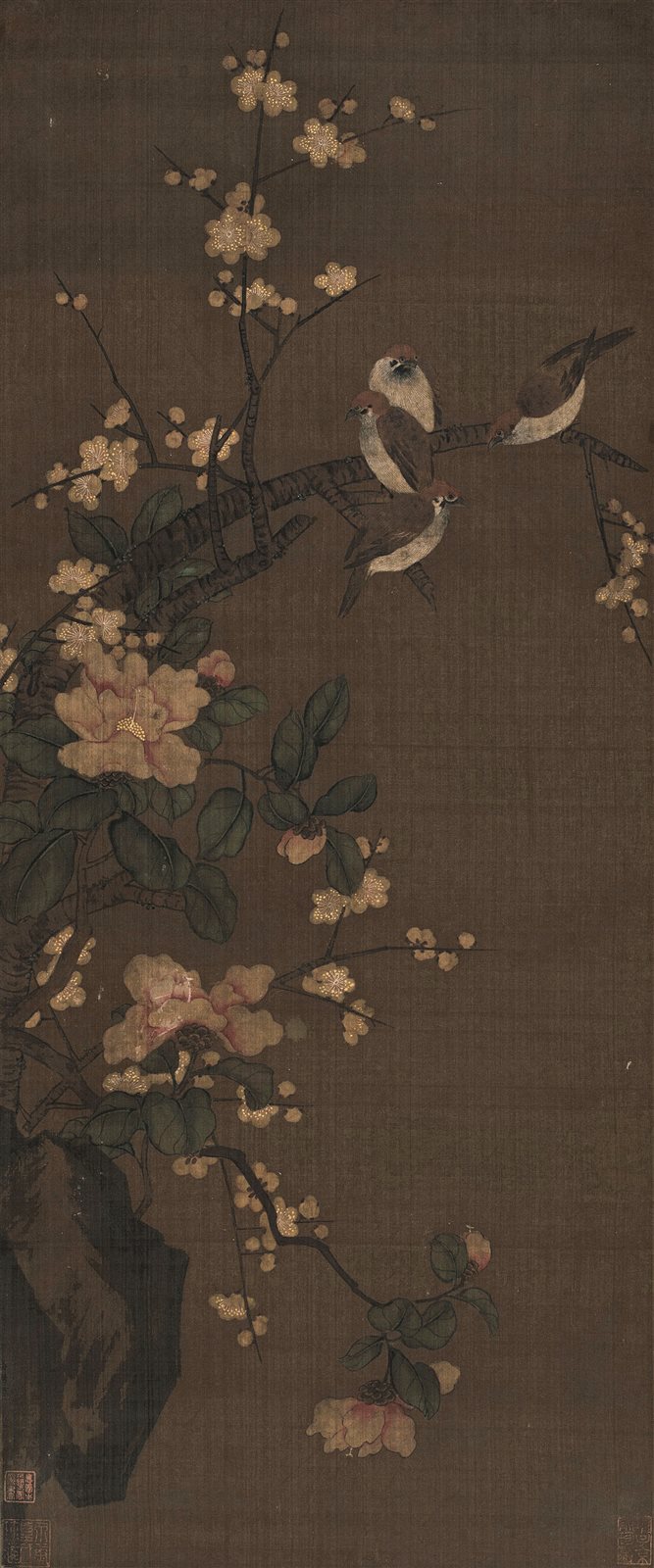 梅花小鸟
