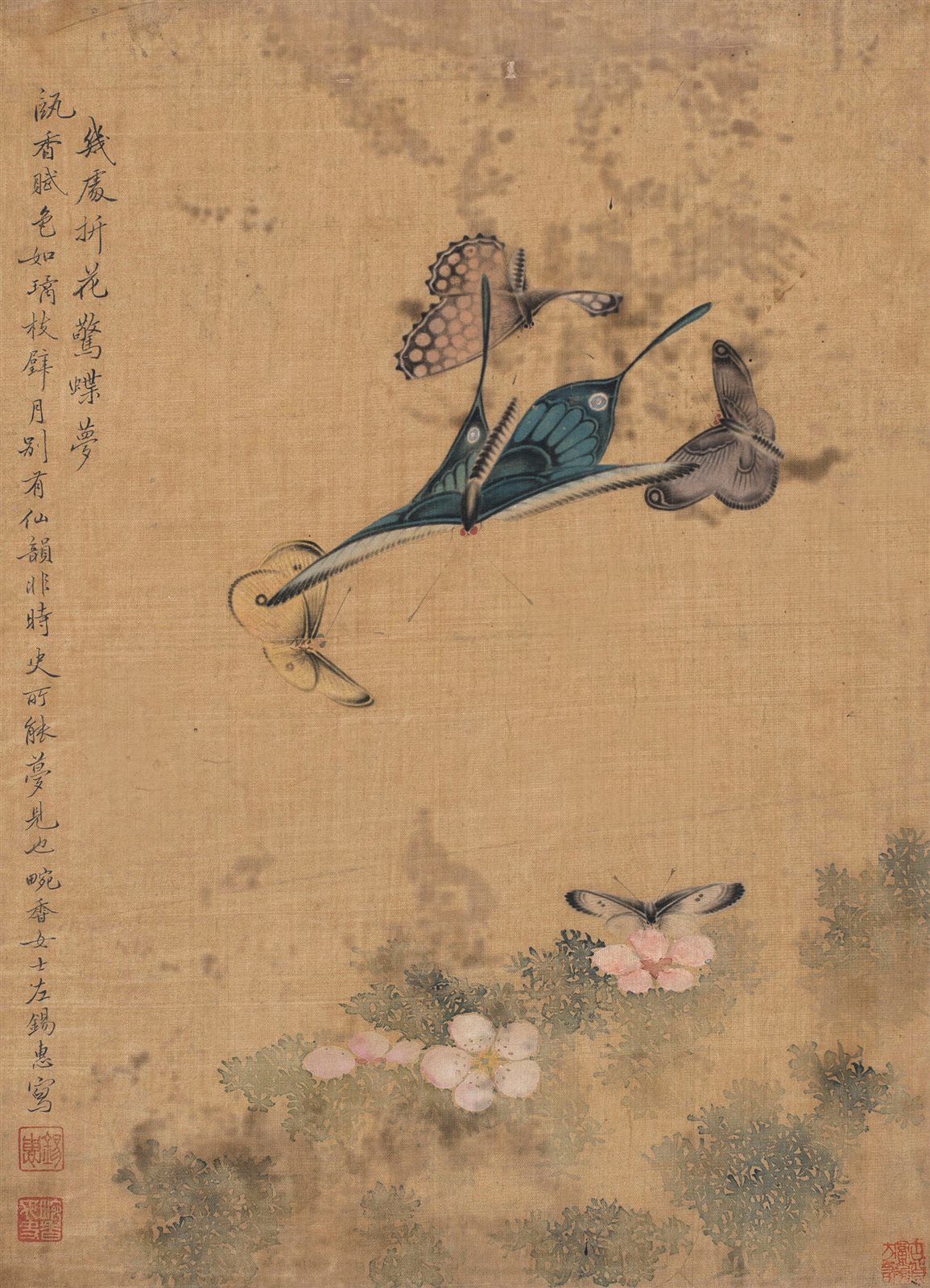蝶恋花