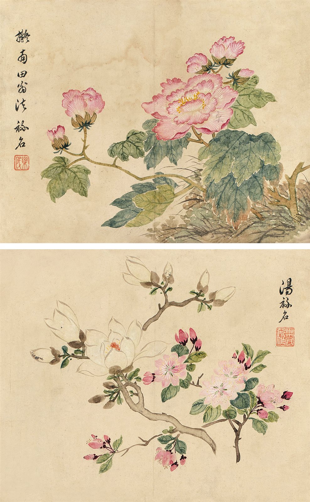 汤禄名设色花卉小品