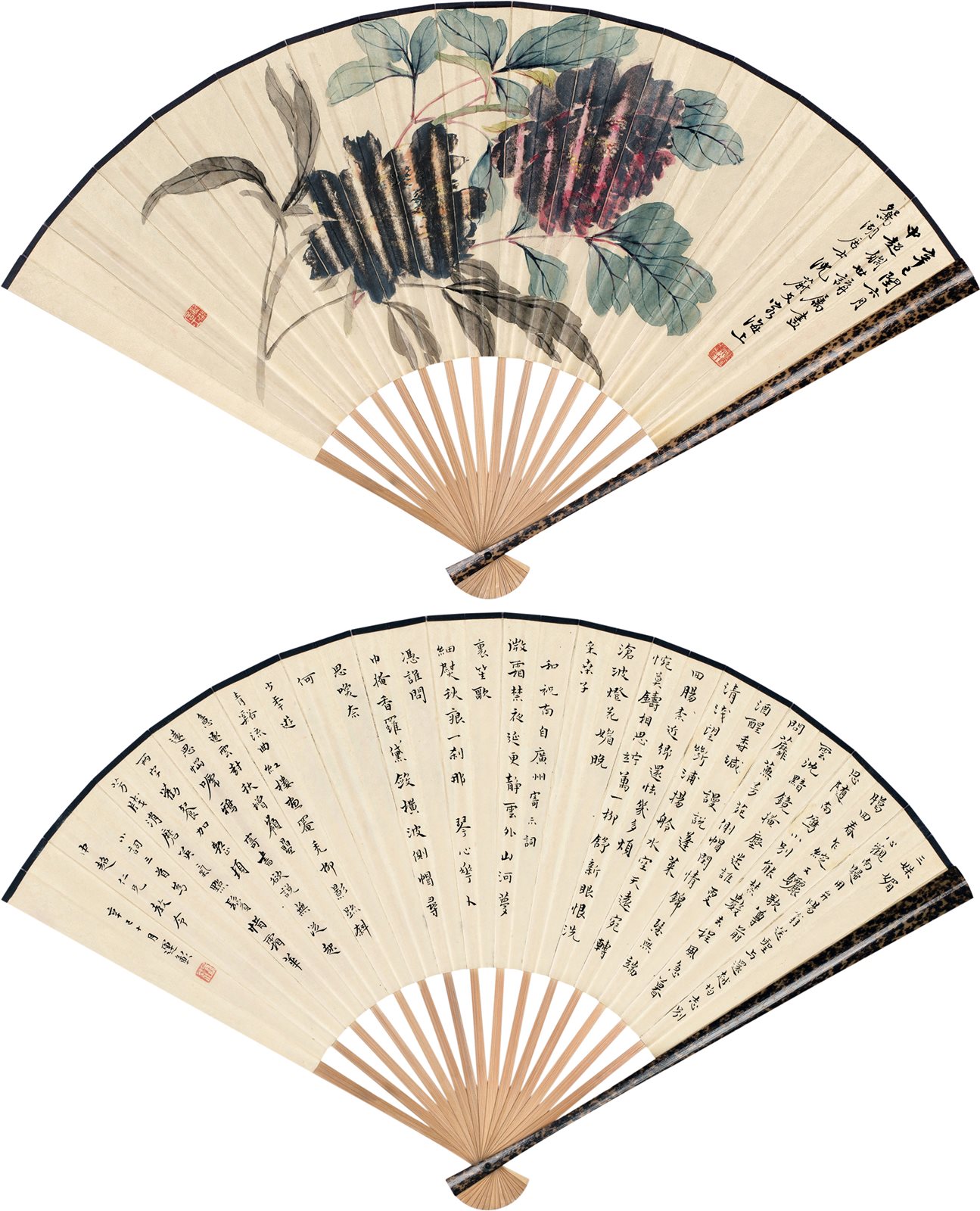牡丹 行书书法