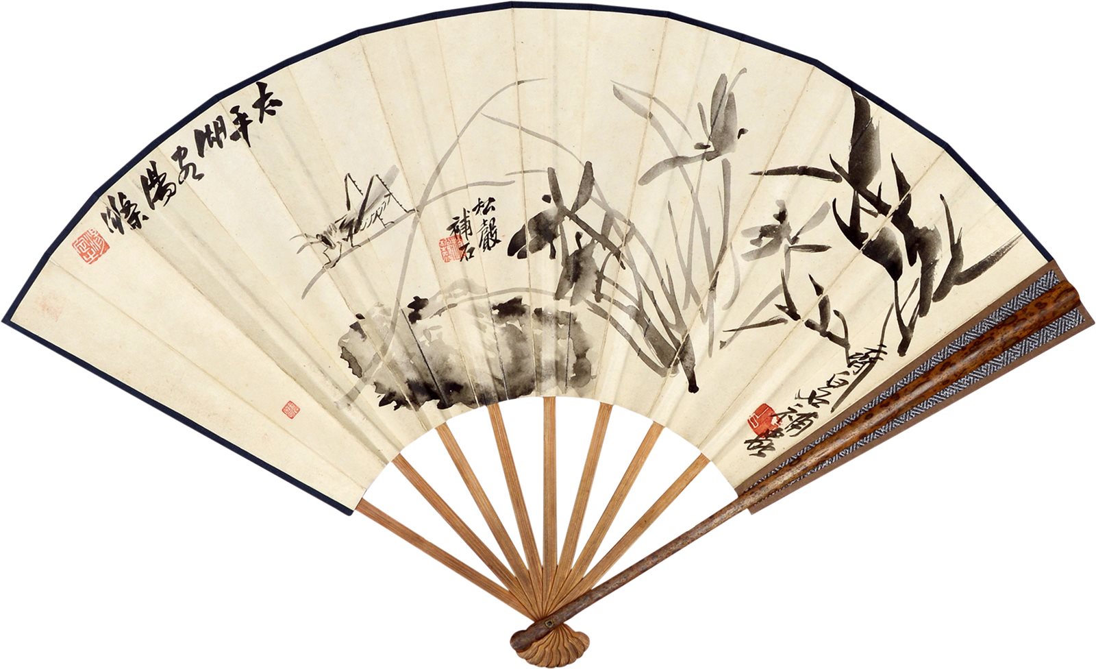 兰石草虫