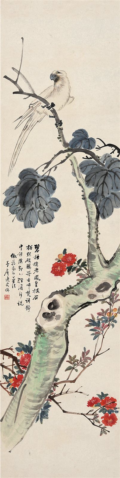 碧梧栖鹦