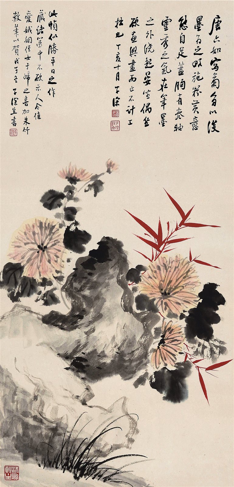 菊石图