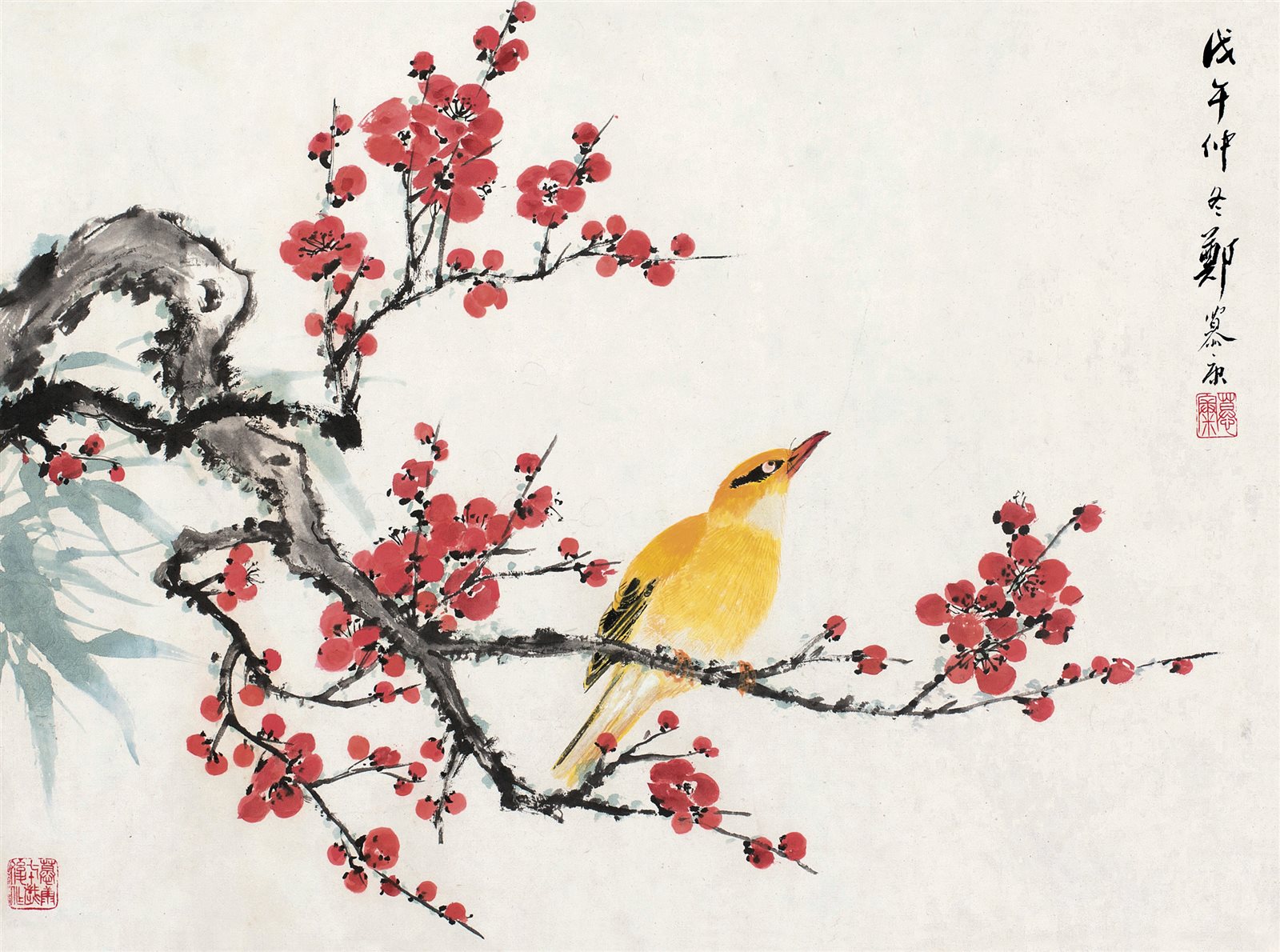 红梅小鸟