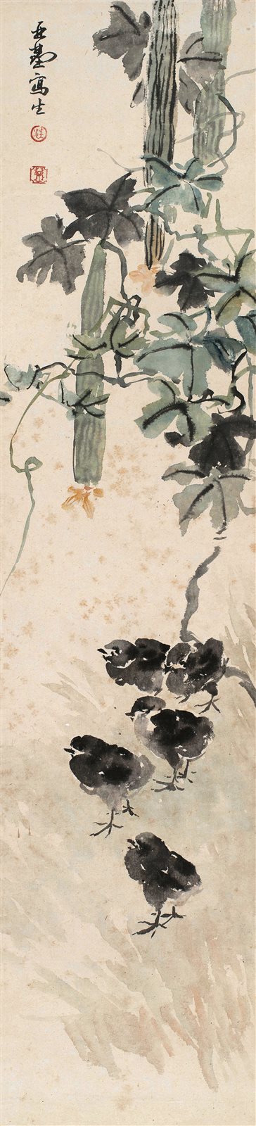 雏鸡图