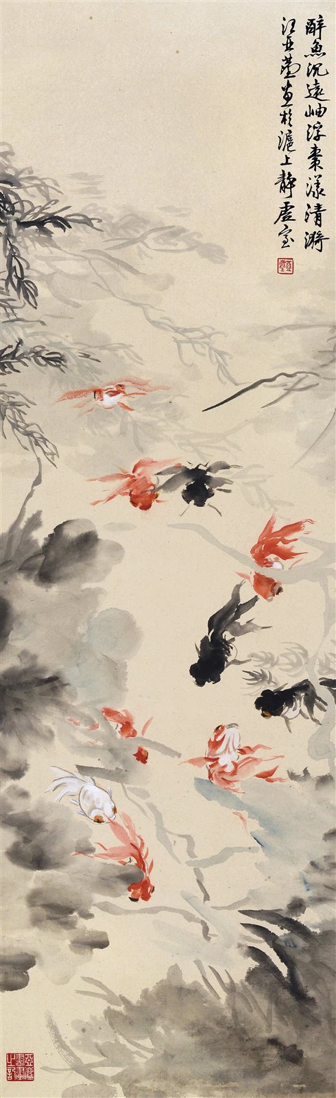 春波鱼乐