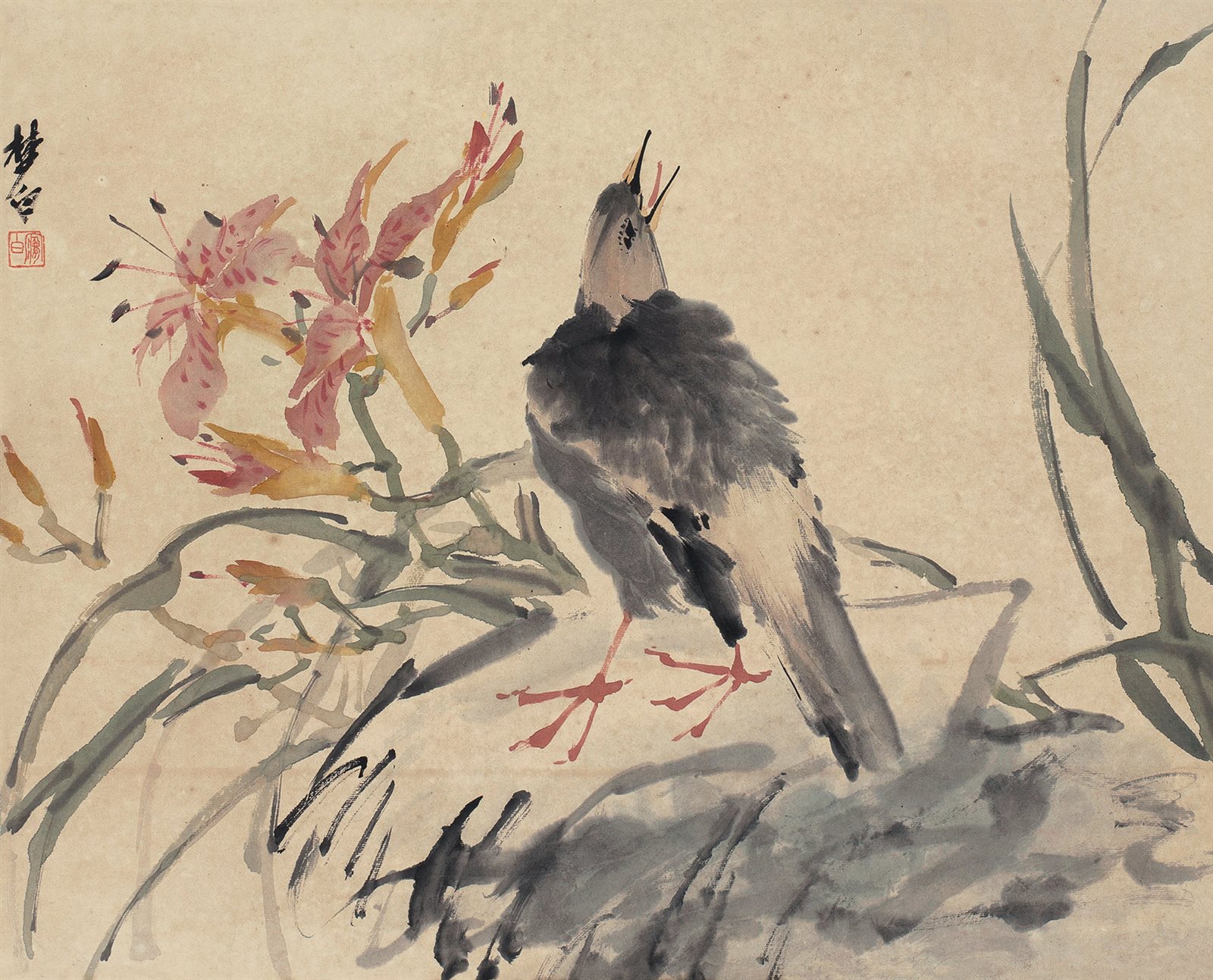 兰花小鸟