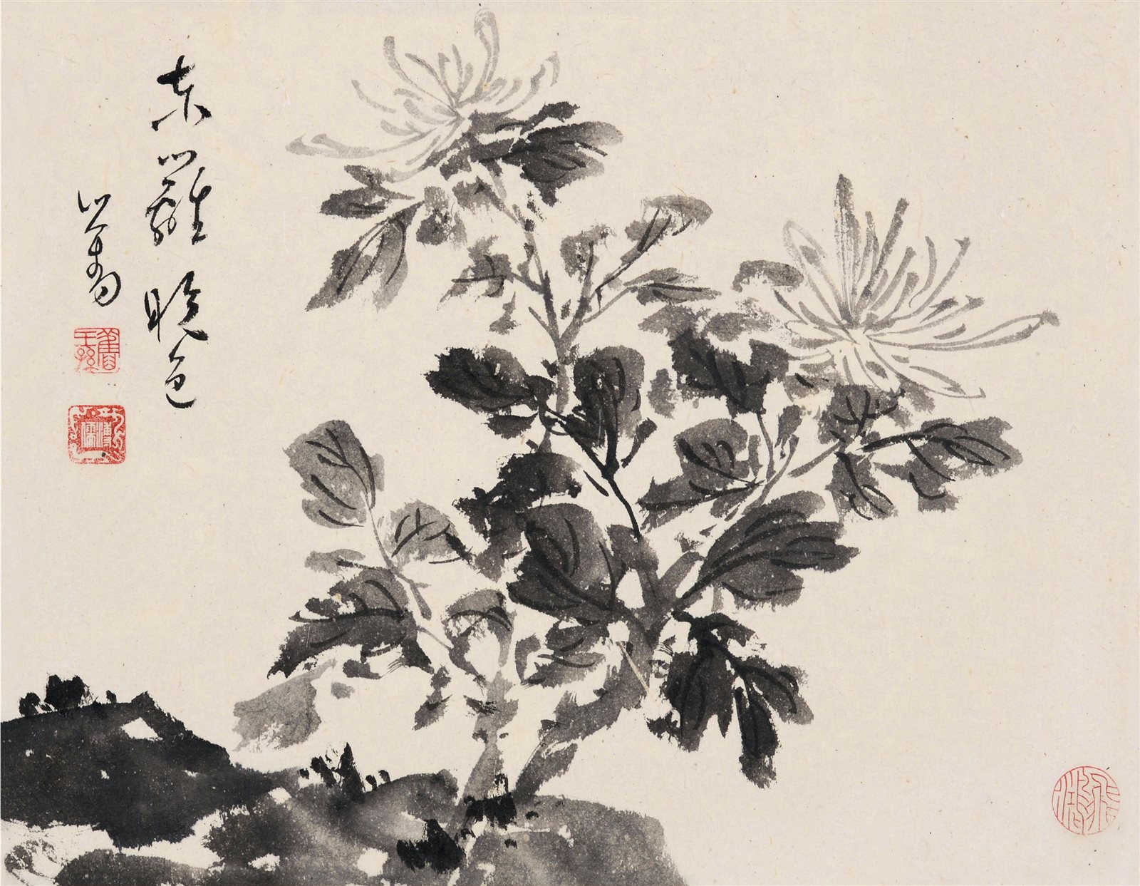 东篱晚色