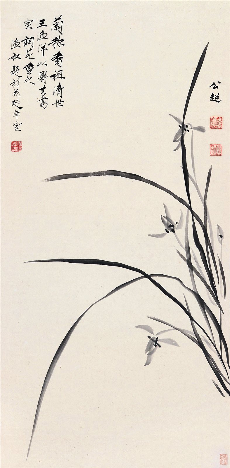 兰花