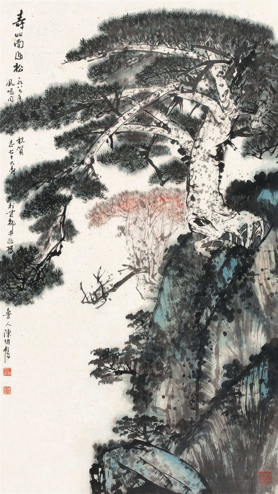 寿比南山松