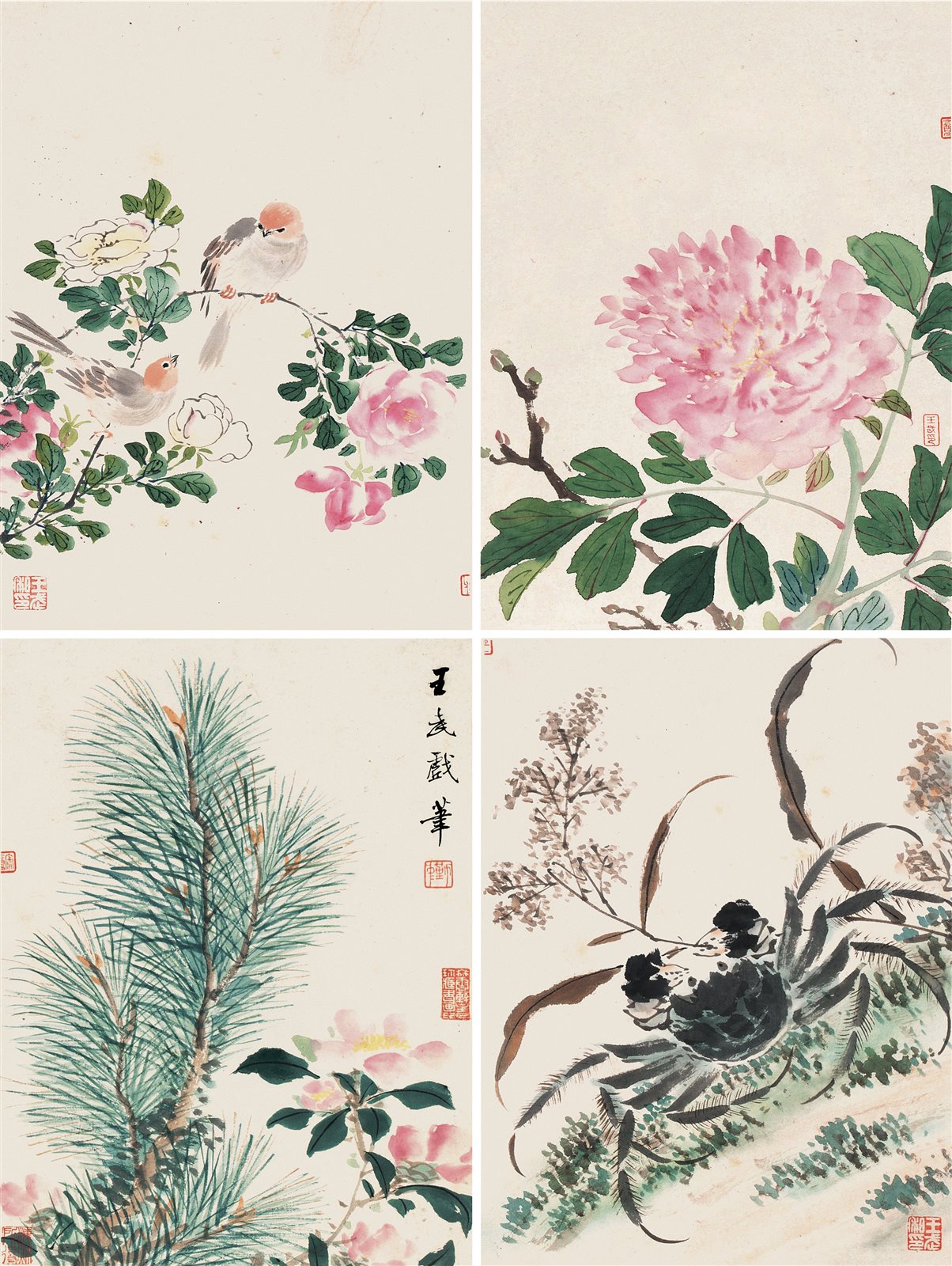 花鸟册