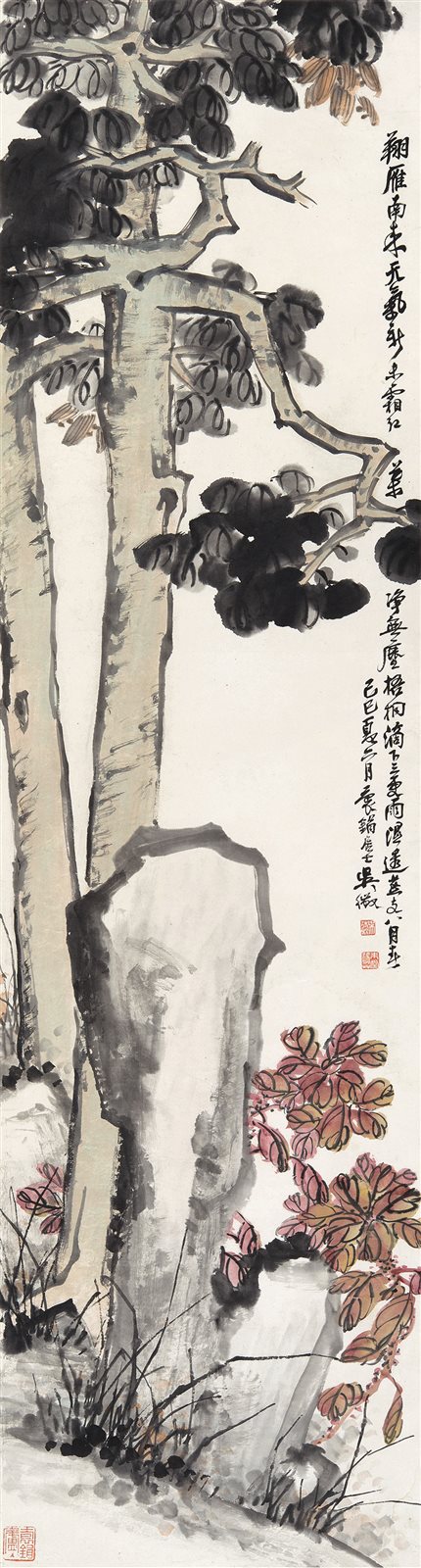 梧桐老石