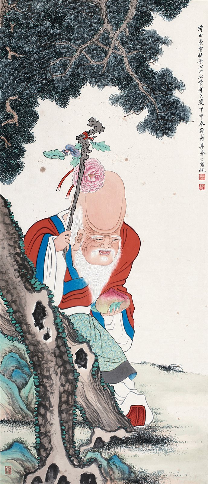 南极仙翁