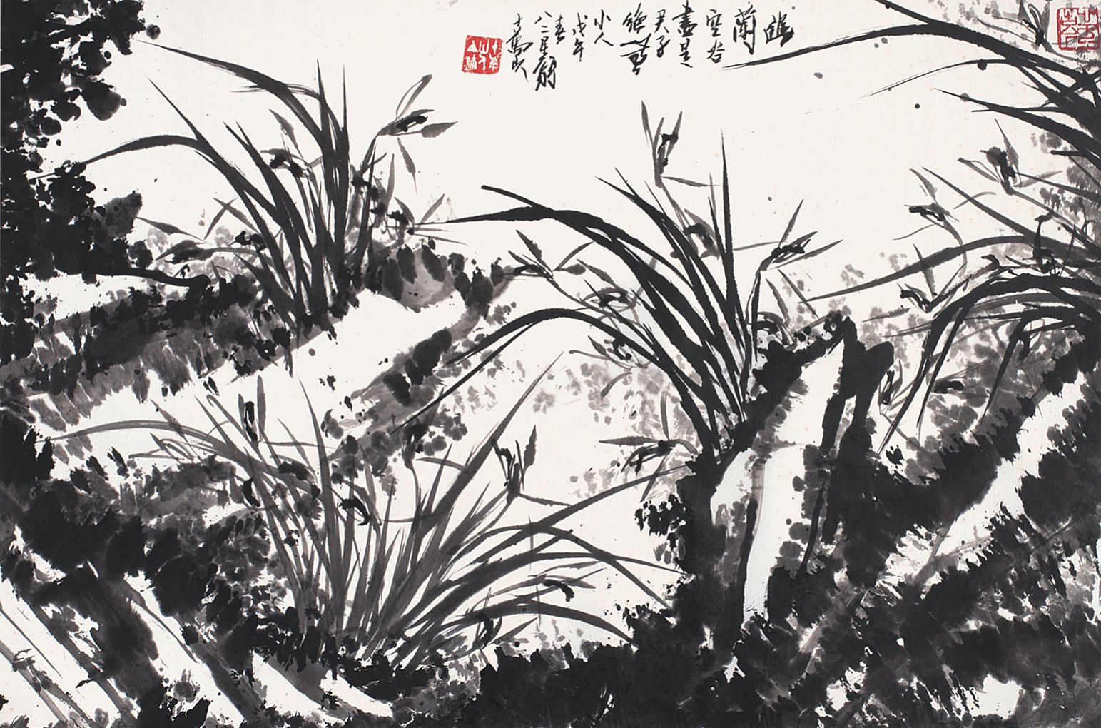 幽兰