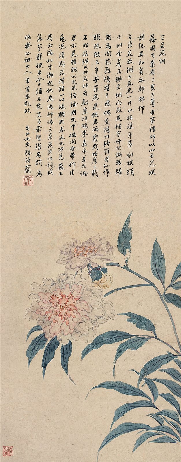 芍药