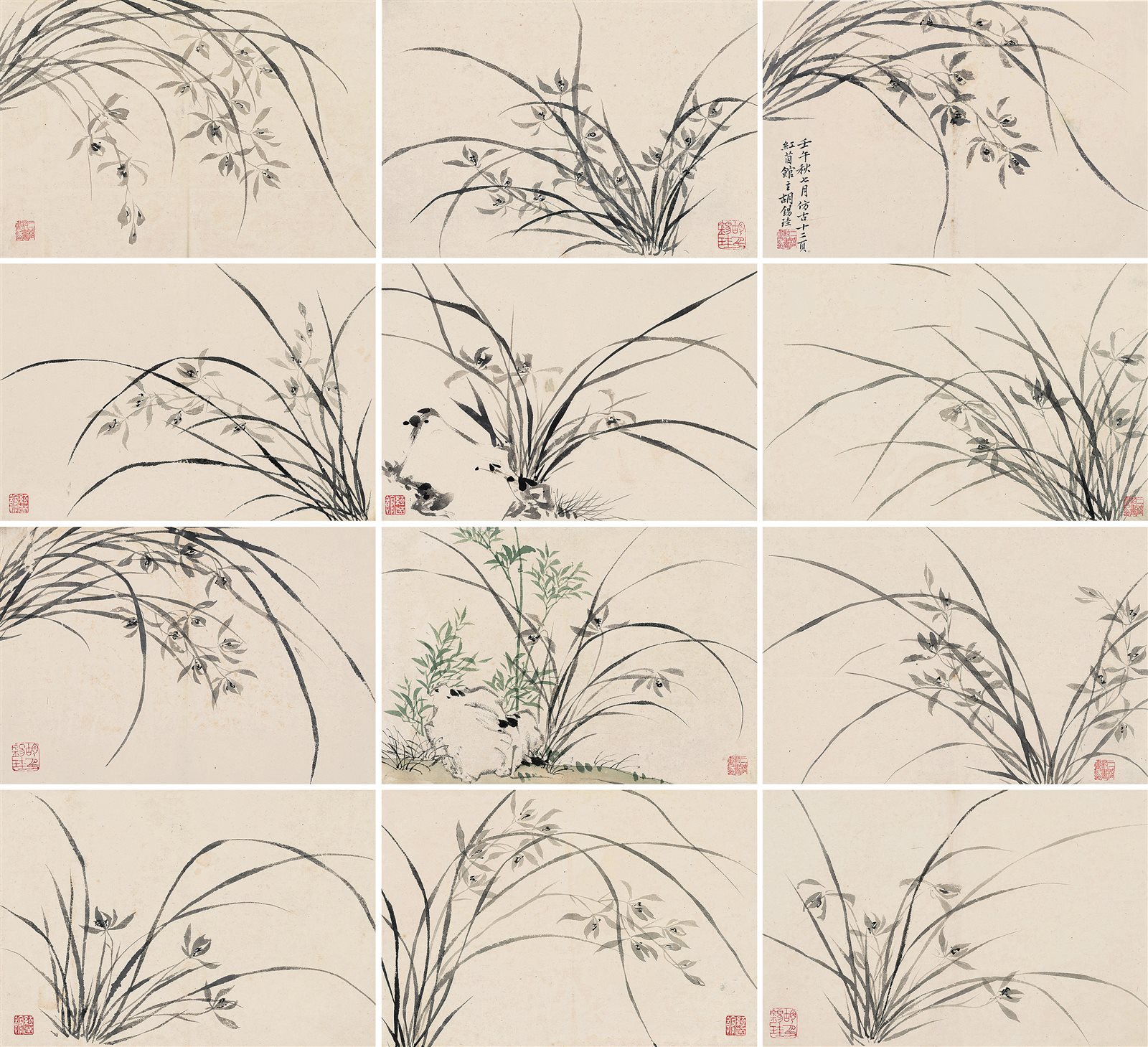 兰花册