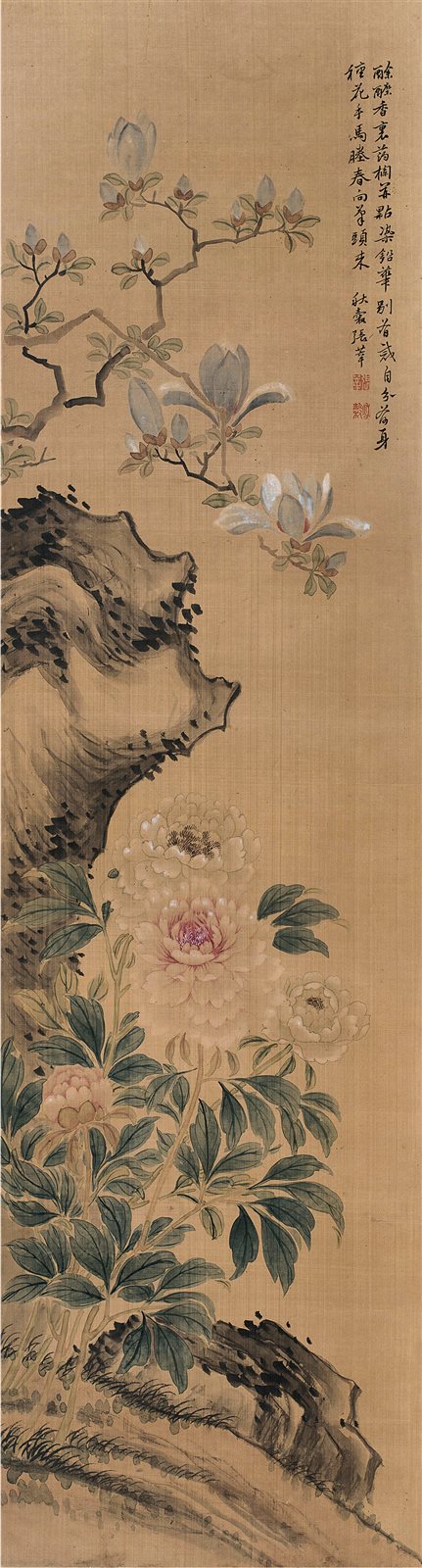 玉兰牡丹
