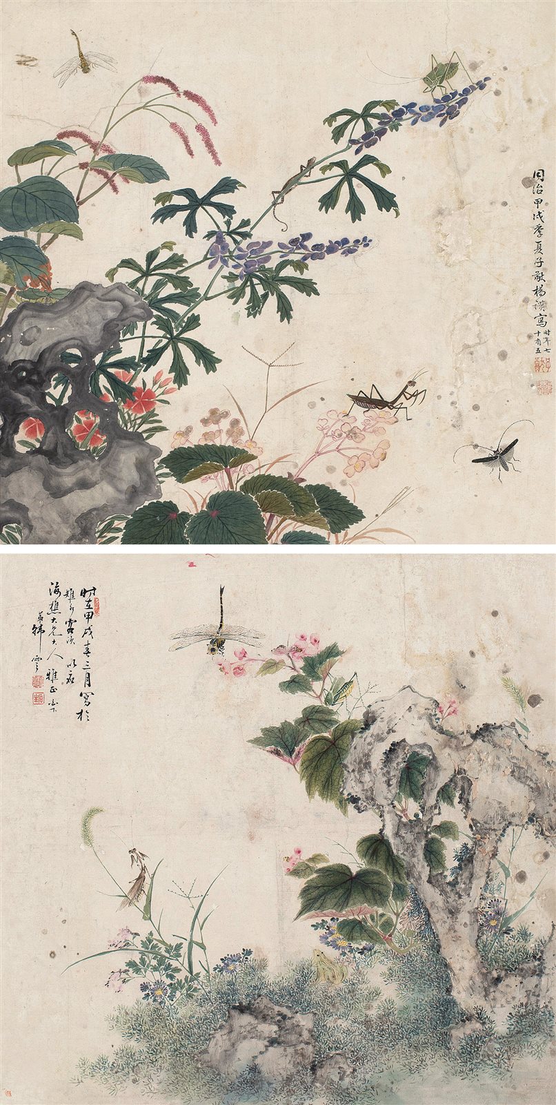 虫草二帧