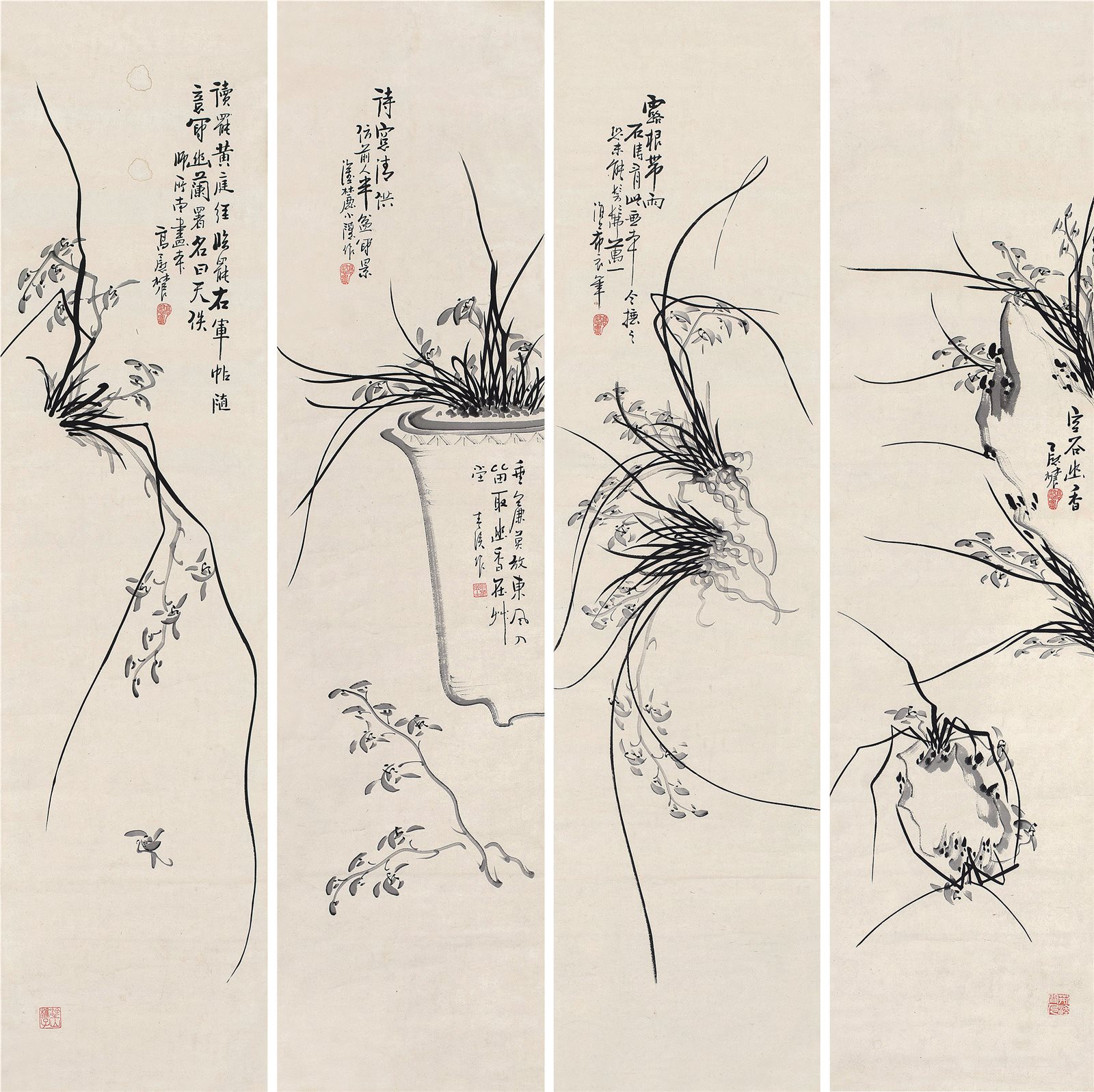 兰草图