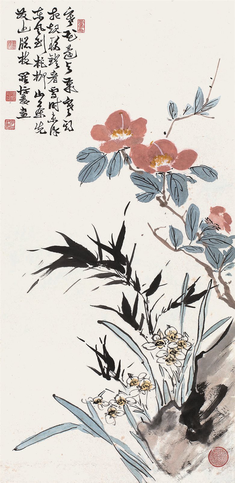 山茶花