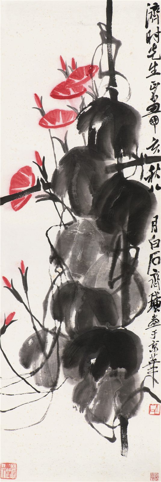 牵牛花