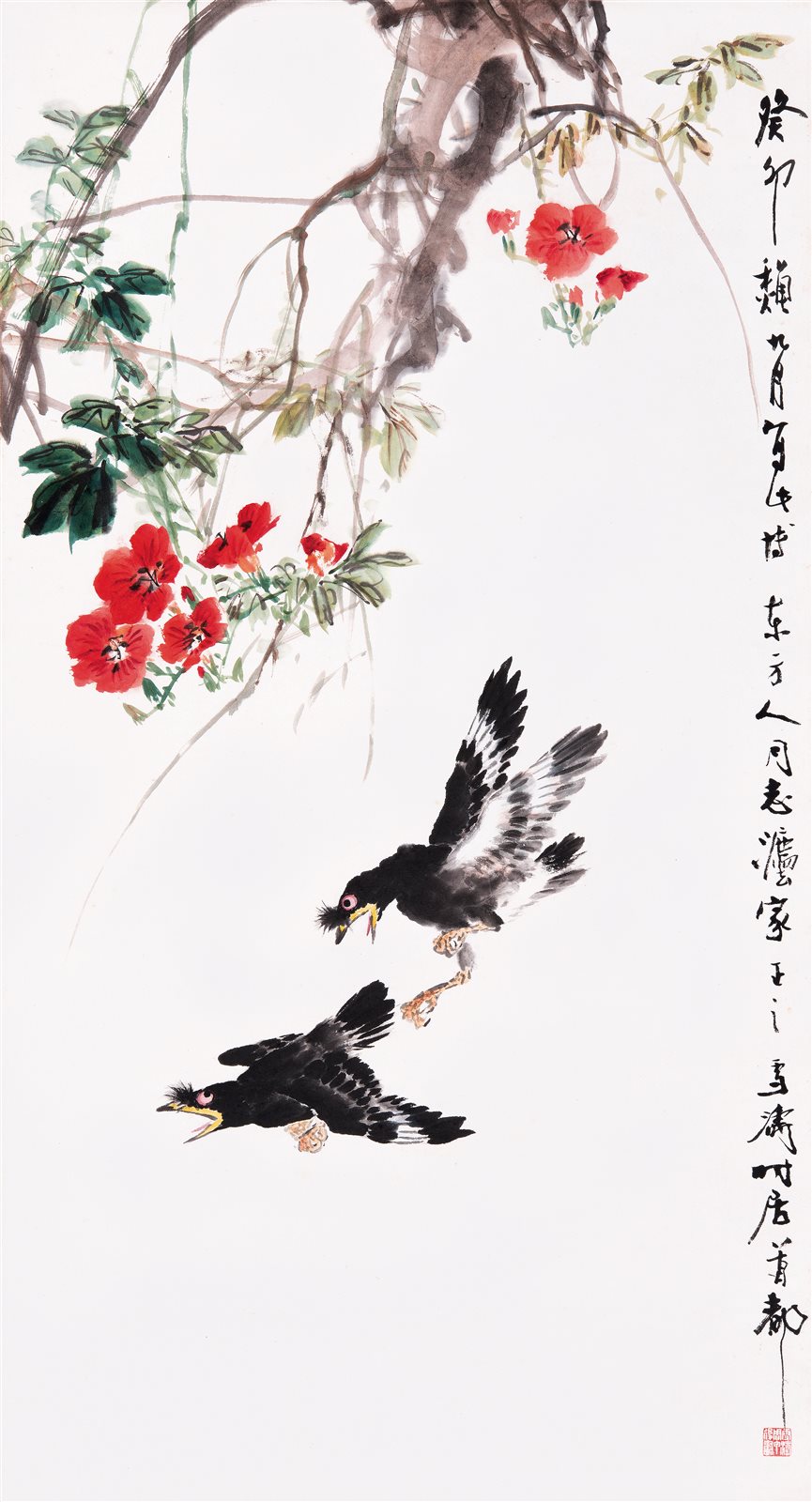 八哥凌霄花