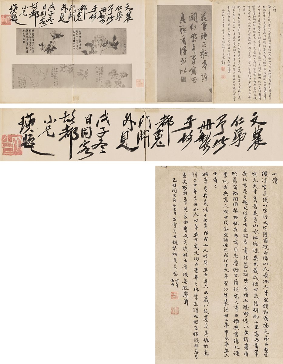 《陈淳花卉卷》