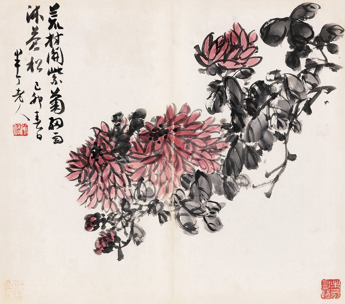 菊花