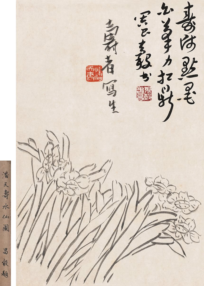 凌波仙子