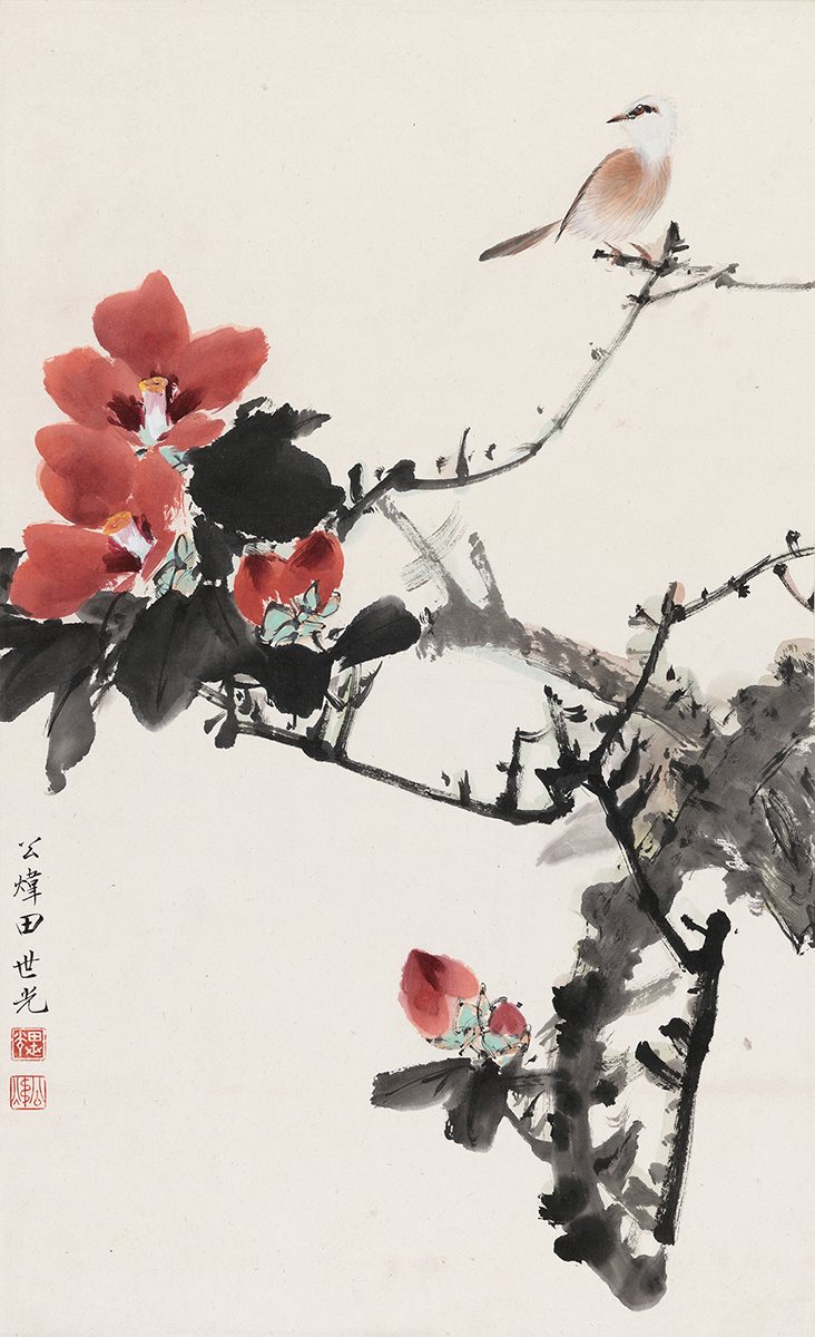山茶白禽