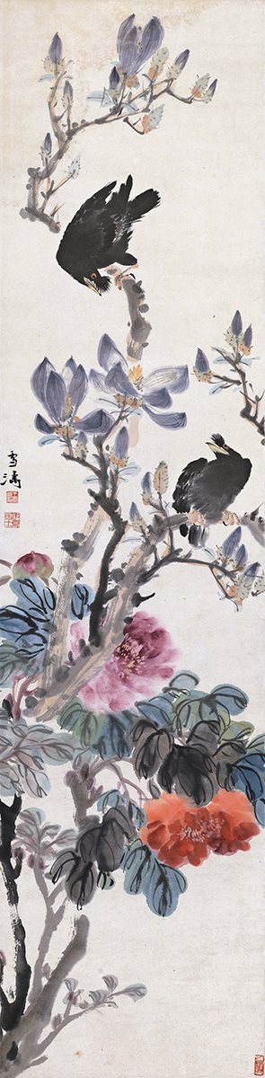 玉兰八哥