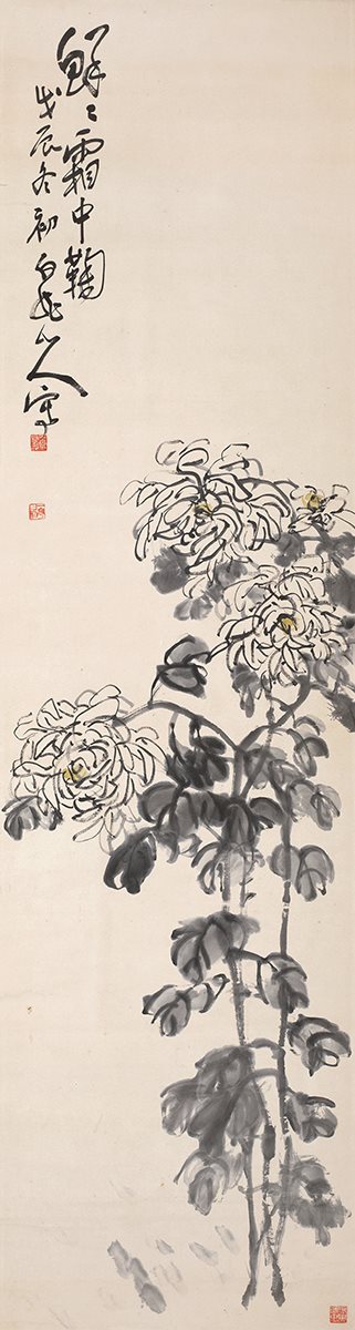 鲜鲜霜中菊