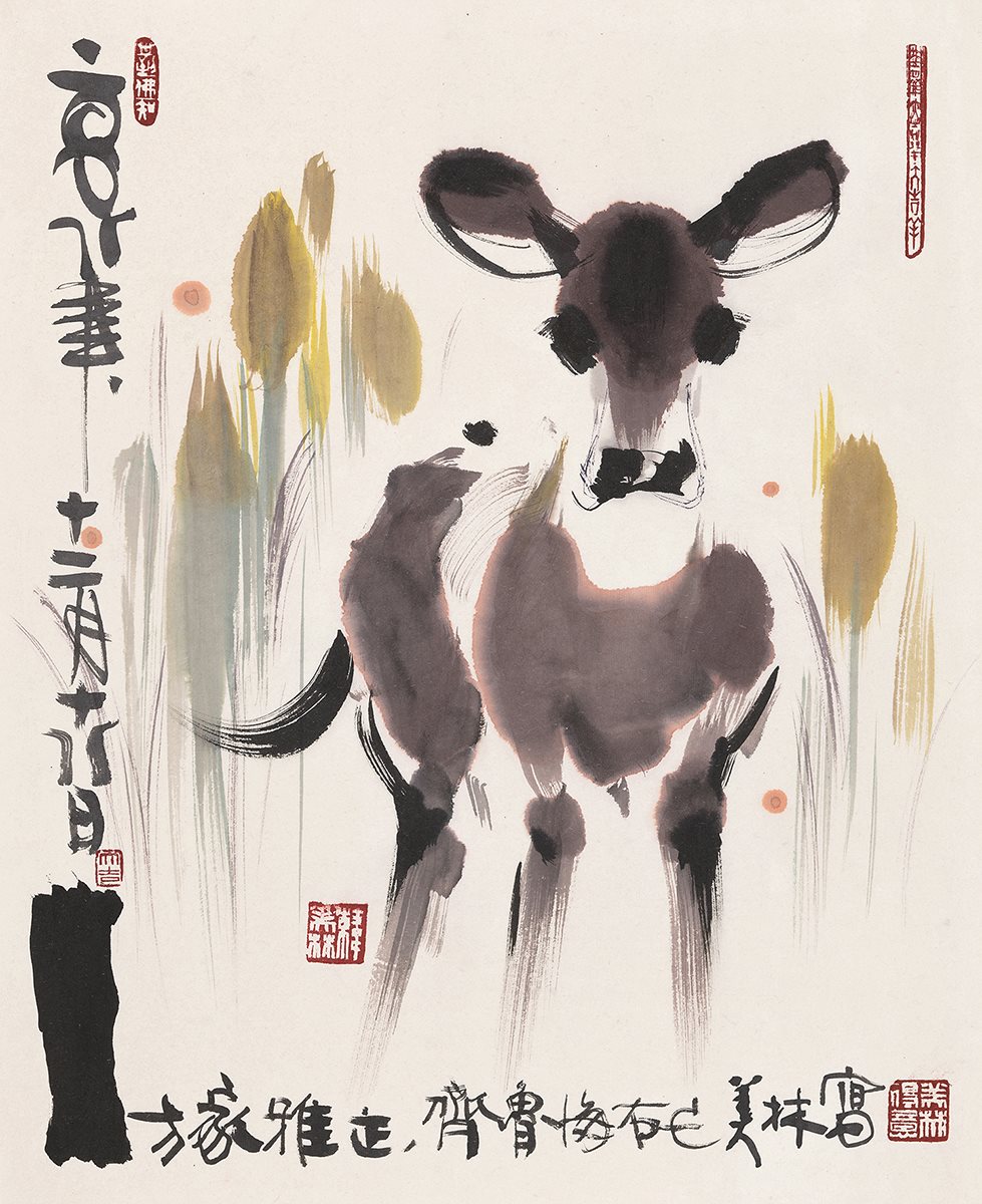 毛驴