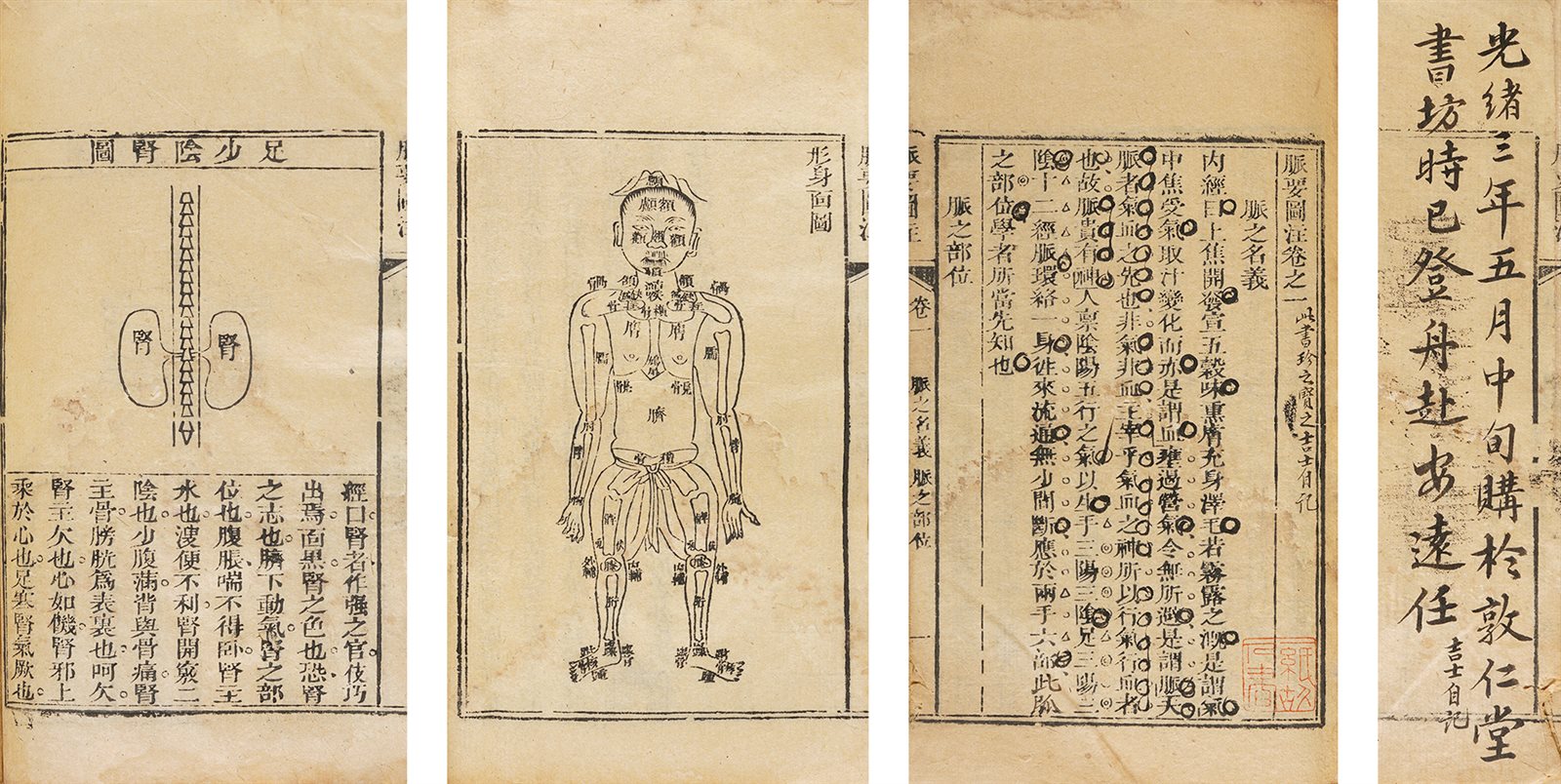 脉要图注·四卷 清乾嘉间刊刻