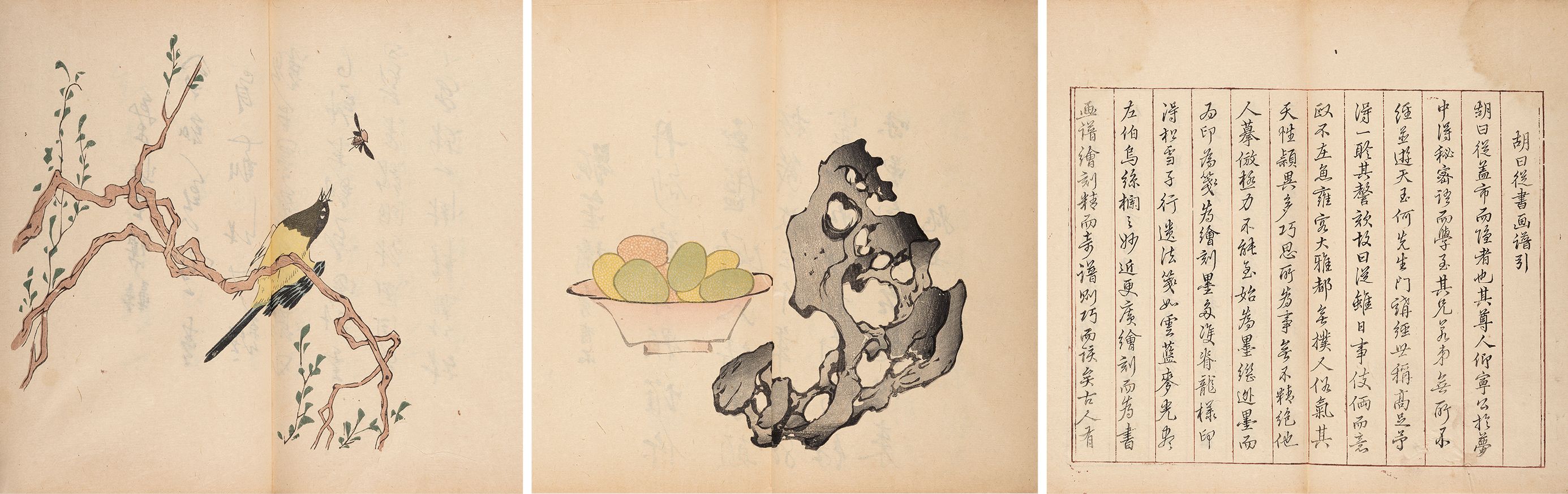 十竹斋画谱（蝴蝶装） 清代彩色套印本（日本艺草堂刊行）