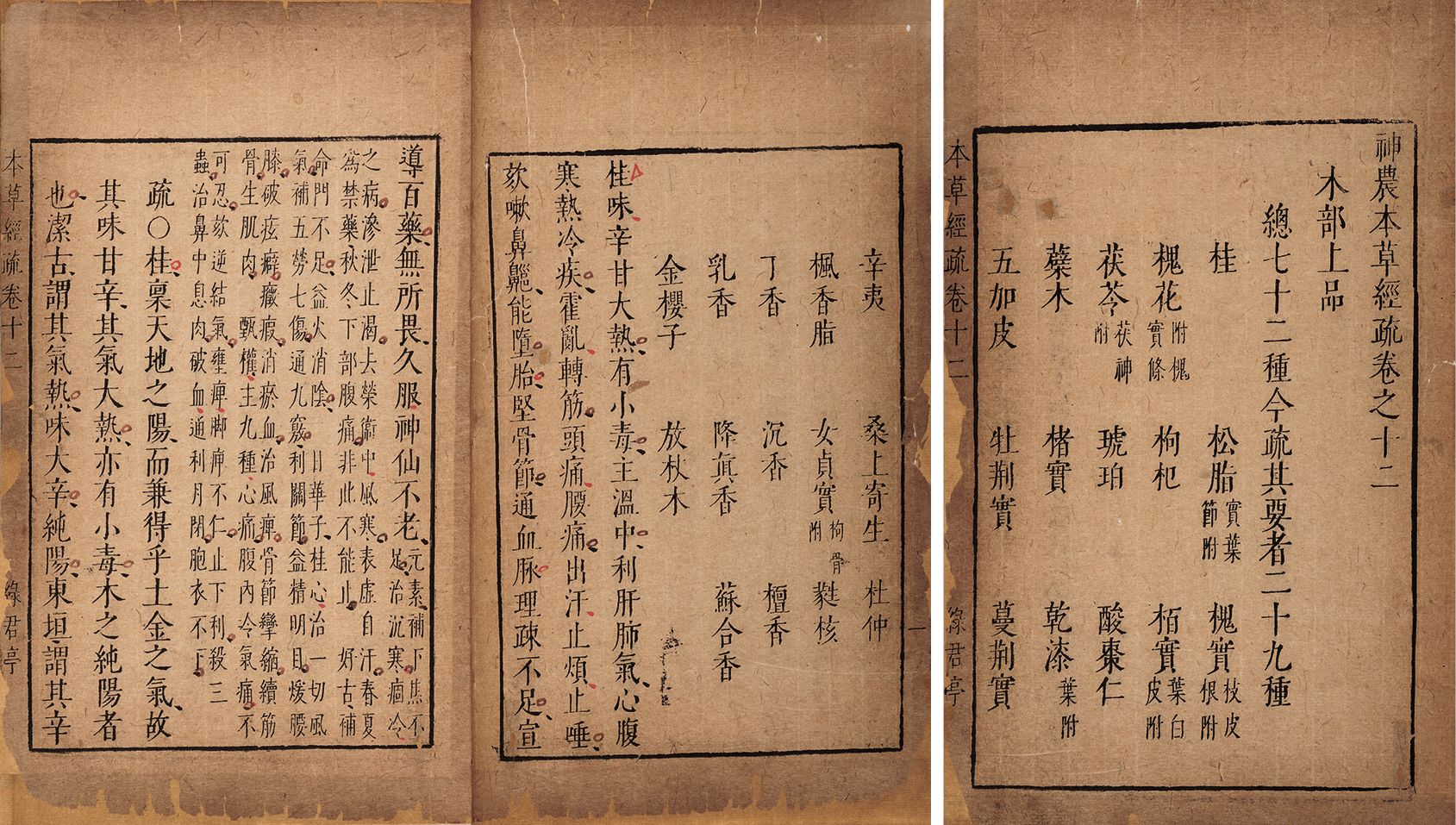 神农本草经疏·卷十二 明天启五年（1625）海虞毛氏绿君亭刻本