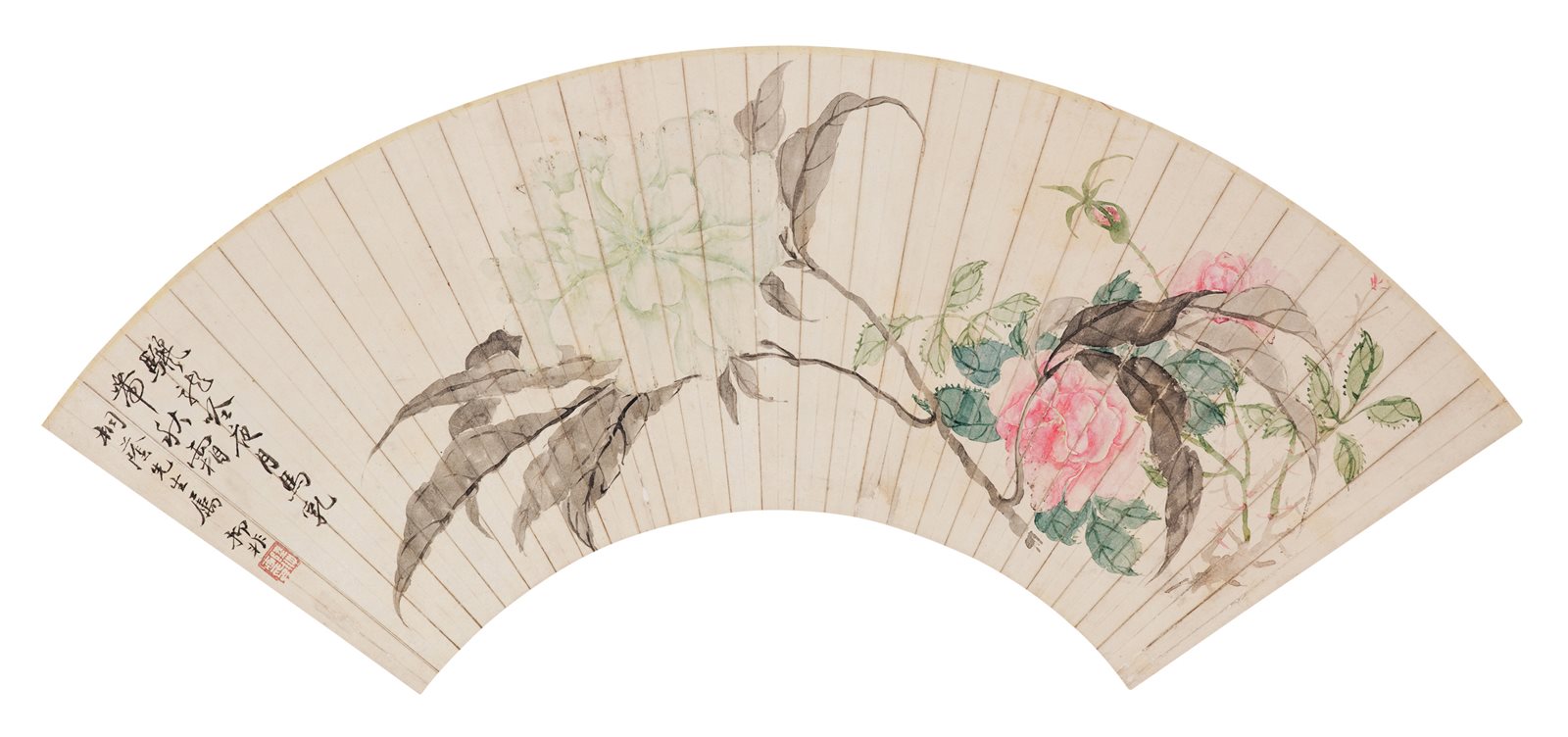 玫瑰牡丹