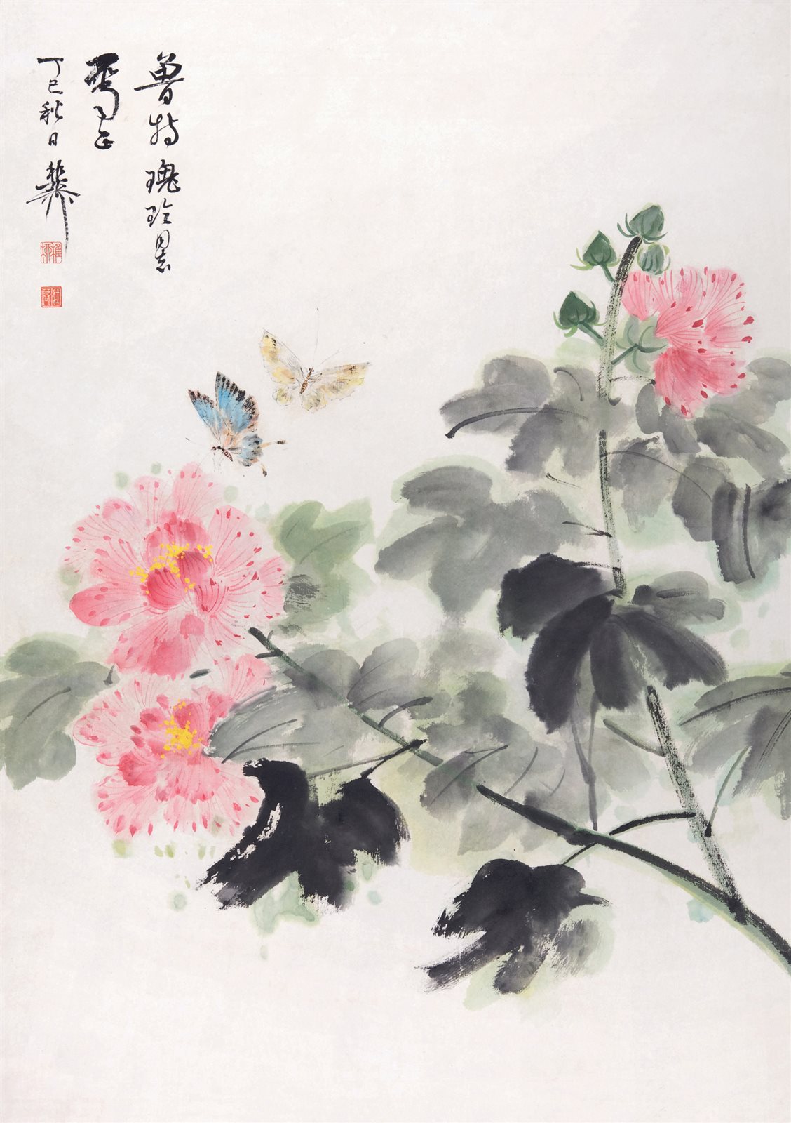 芙蓉双蝶图