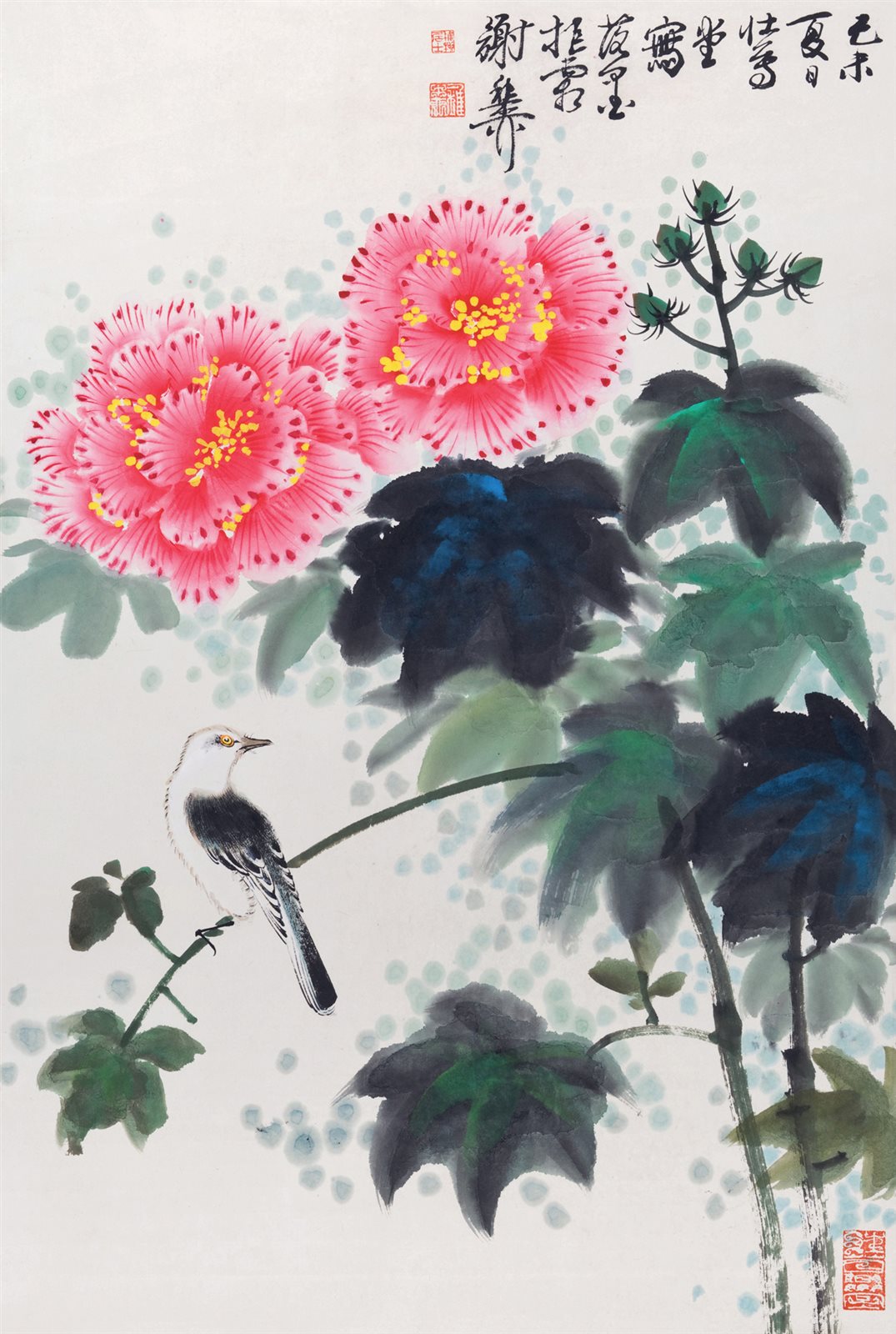 芙蓉小鸟