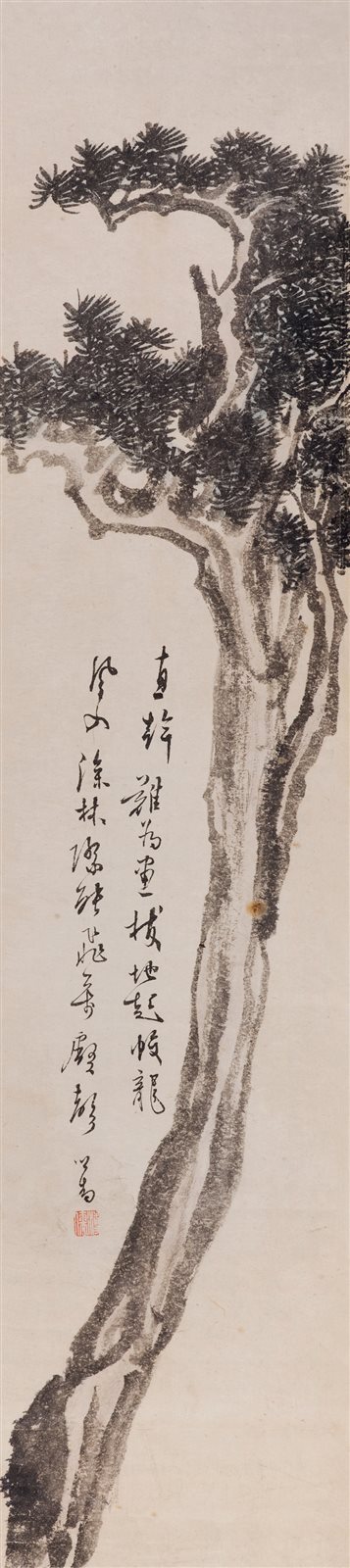 松树