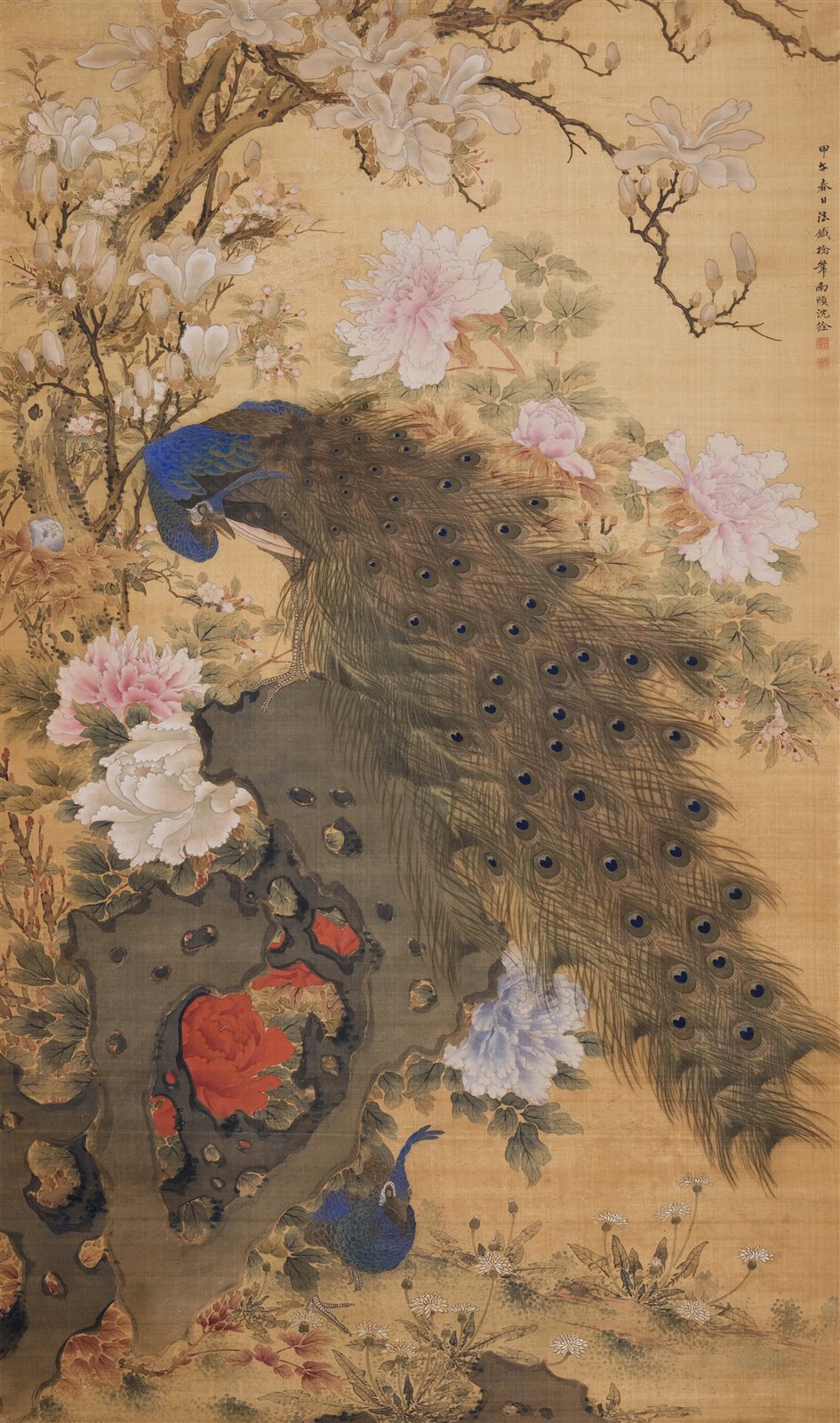 孔雀玉兰牡丹图