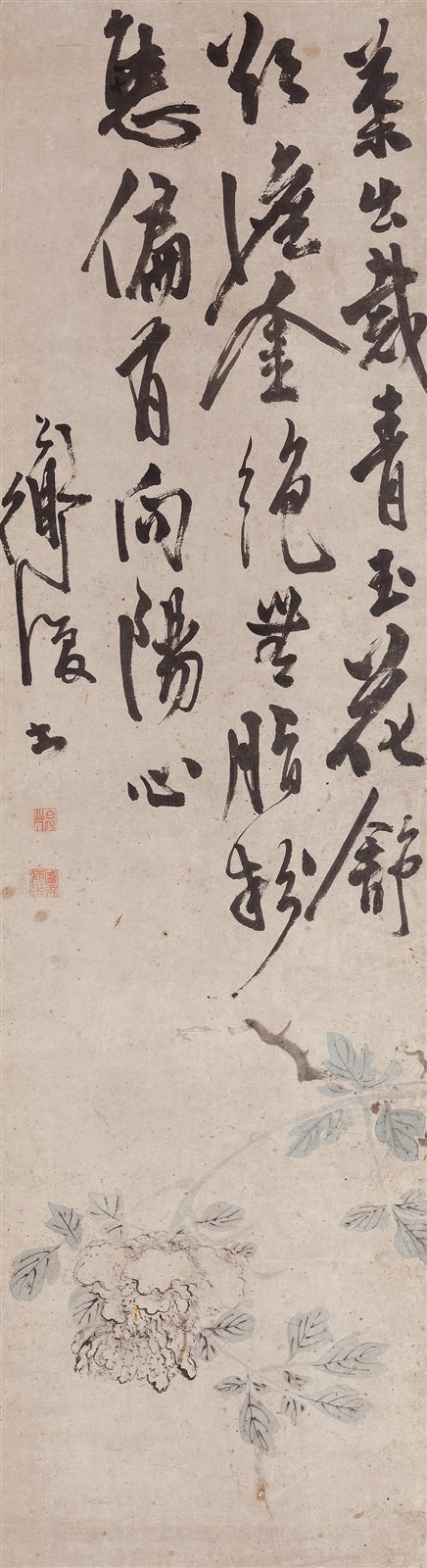 牡丹图