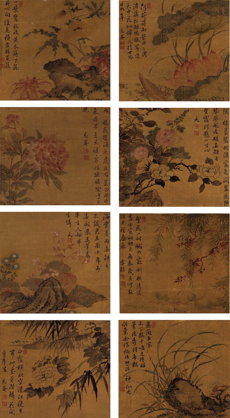 花卉八帧