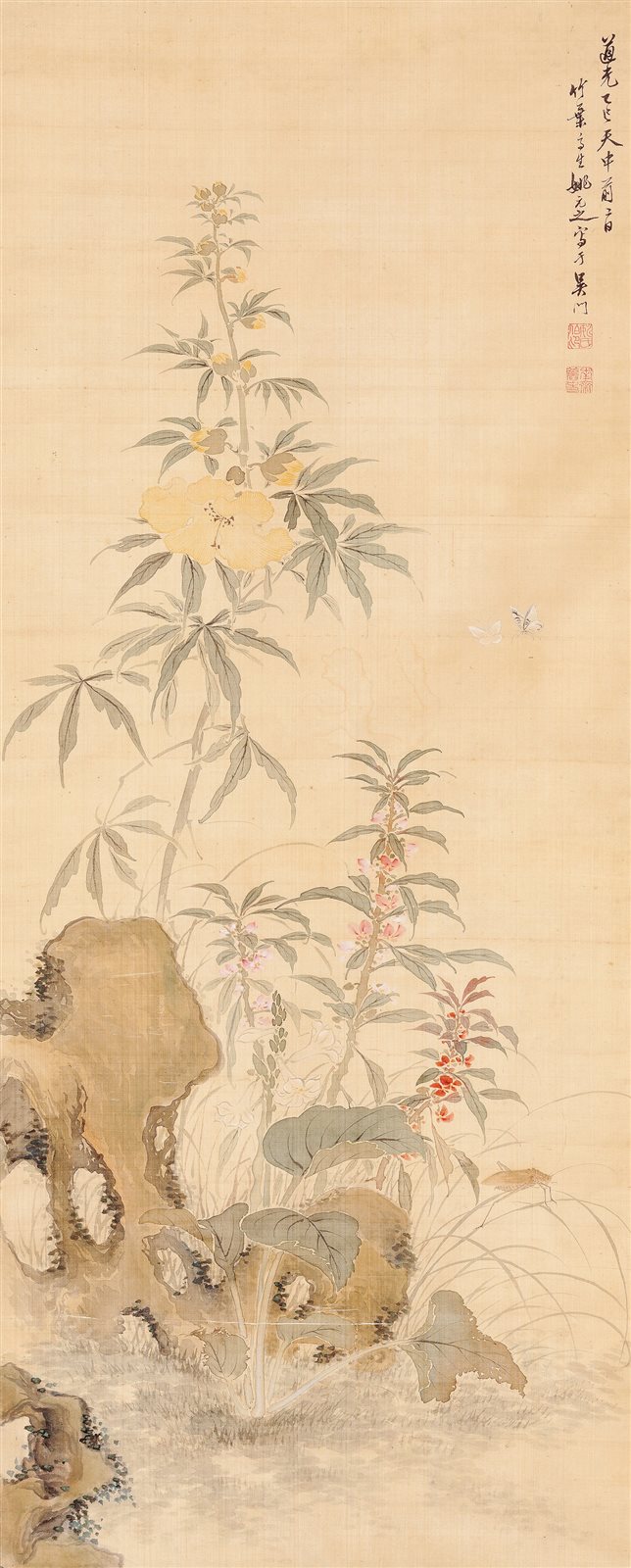 花蝶草丛