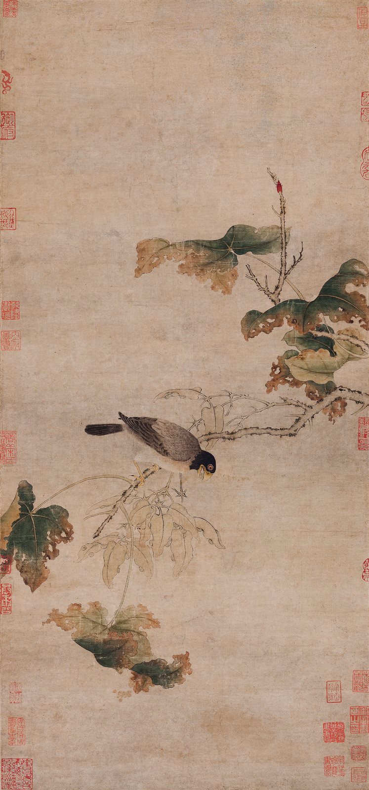 梧桐鹩子图