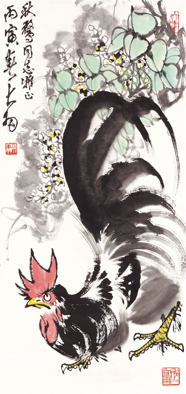 公鸡